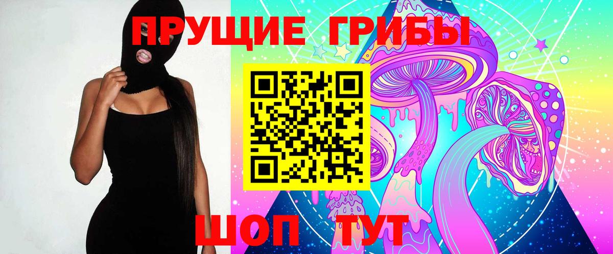 Псилоцибиновые грибы Psilocybe  Псилоцибиновые грибы GOLDEN TEACHER  Владимир  Вход с VPN 
