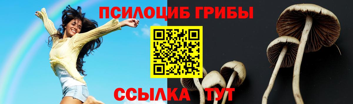 Псилоцибиновые грибы MAGIC MUSHROOMS Владимир